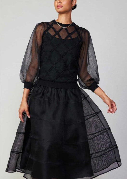 Sheer Puffy Skirt With Lining (2 Color Ways)