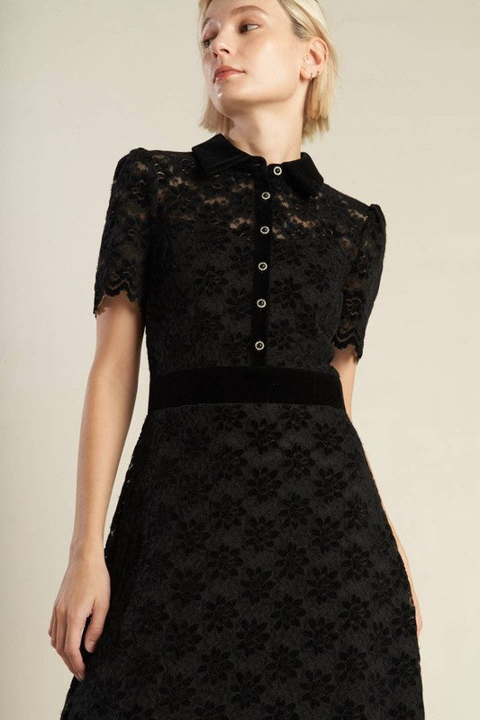 Contrast Velvet Collar and Waist Band