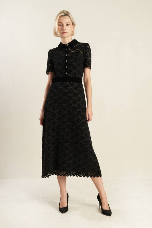 Contrast Velvet Collar and Waist Band
