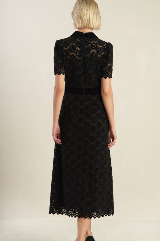 Contrast Velvet Collar and Waist Band
