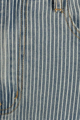 Striped Wide-Leg Denim Pants