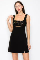 Embroidered Yoke Mini Dress