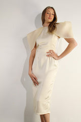 Big Sheer Sleeve Midi Dress