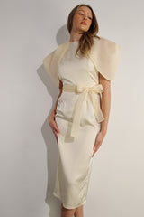 Big Sheer Sleeve Midi Dress