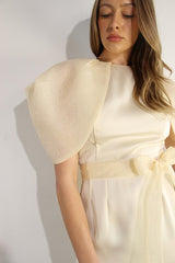 Big Sheer Sleeve Midi Dress