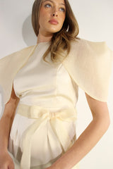 Big Sheer Sleeve Midi Dress