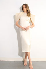 Big Sheer Sleeve Midi Dress