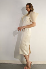 Big Sheer Sleeve Midi Dress